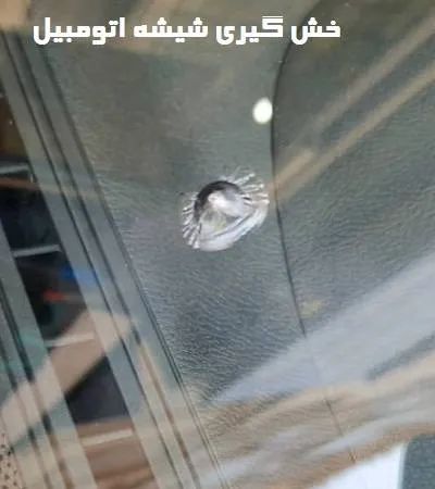 خش گیری حرفه ای